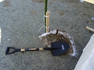 地鎮祭