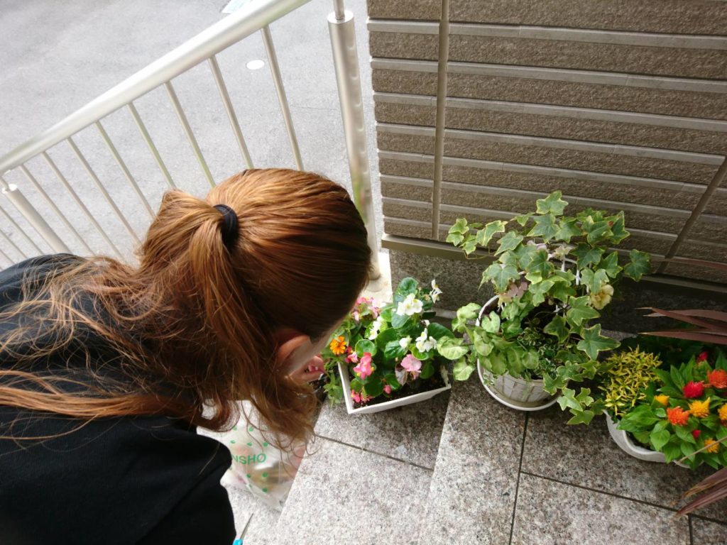 植木