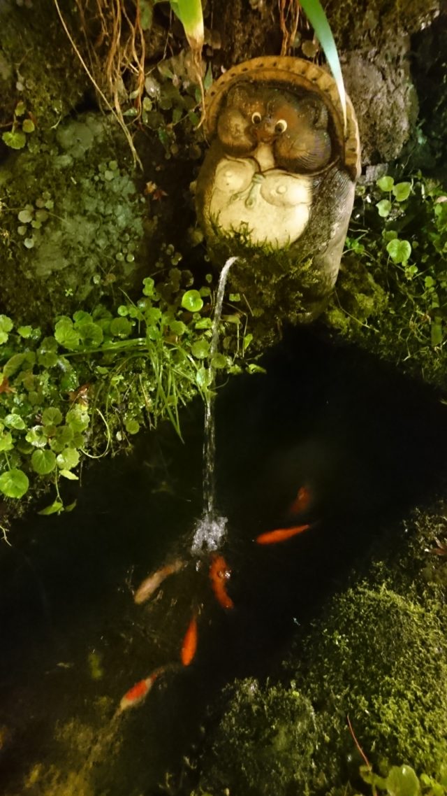 秋