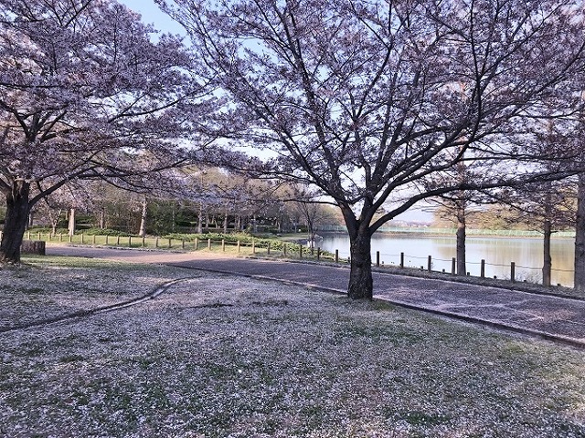 馬見丘陵公園