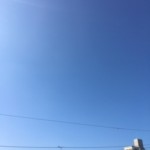 ニュースレター