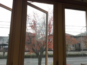 見学会