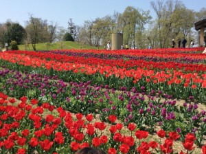 馬見丘陵公園
