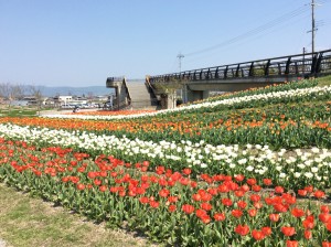 馬見丘陵公園