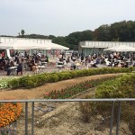 馬見✿フラワーフェスタ