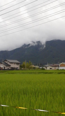 ご無沙汰しておりました
