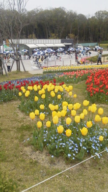 馬見丘陵公園