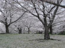 馬見丘陵公園
