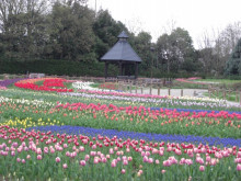馬見丘陵公園