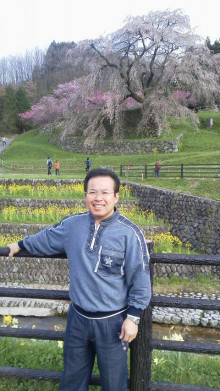 又兵衛桜 見に行って来ました
