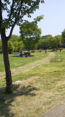 馬見丘陵公園は癒し効果抜群です