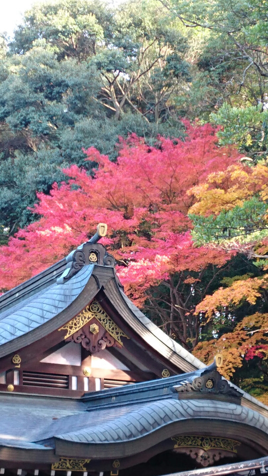 三輪神社