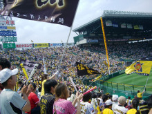 甲子園球場