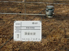 地盤調査