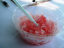 見学会終わりました♪