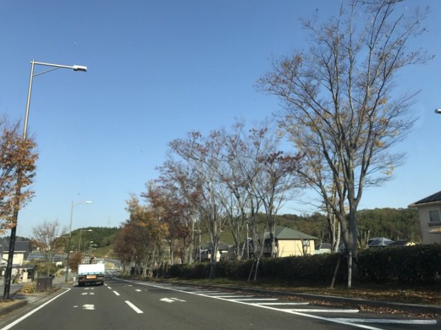 木津川　冬の気配