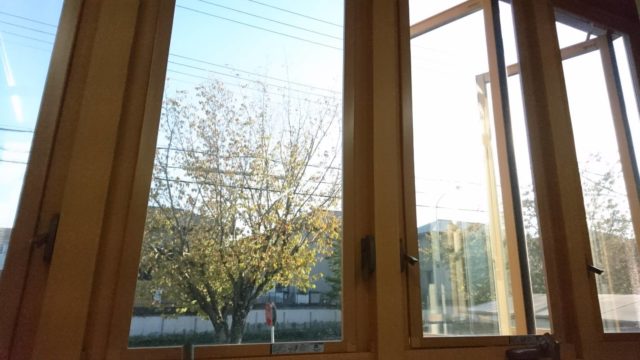 久しぶりの良いお天気☀