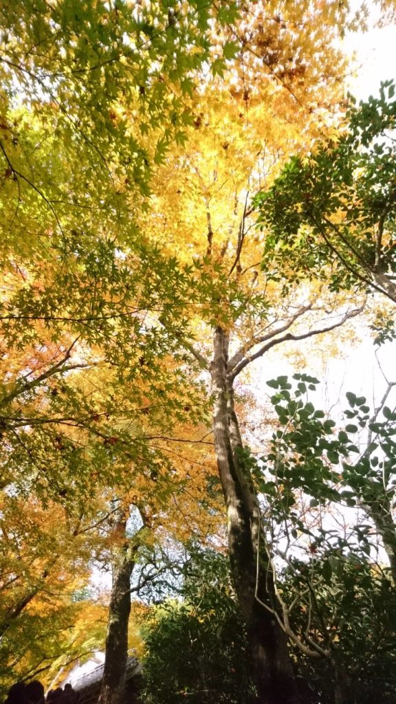 お寺